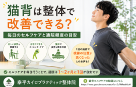 猫背は整体で改善できる？毎日のセルフケアと通院頻度の目安